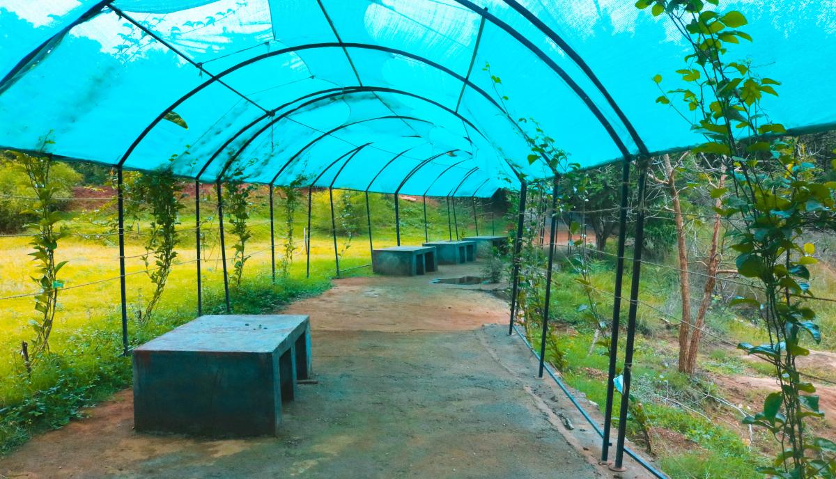 Garden Image 3